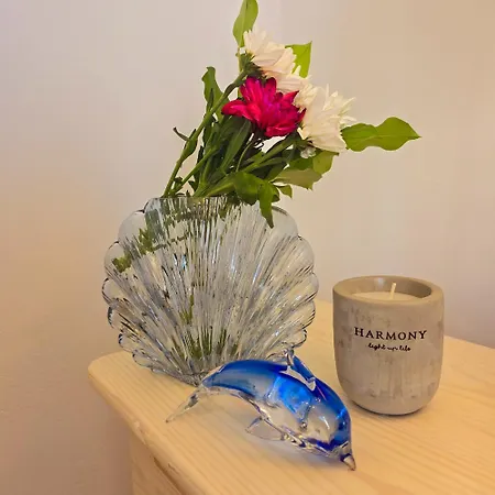 Lakithra Apartments 公寓 *